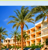Resort with palm trees and swimming pool
